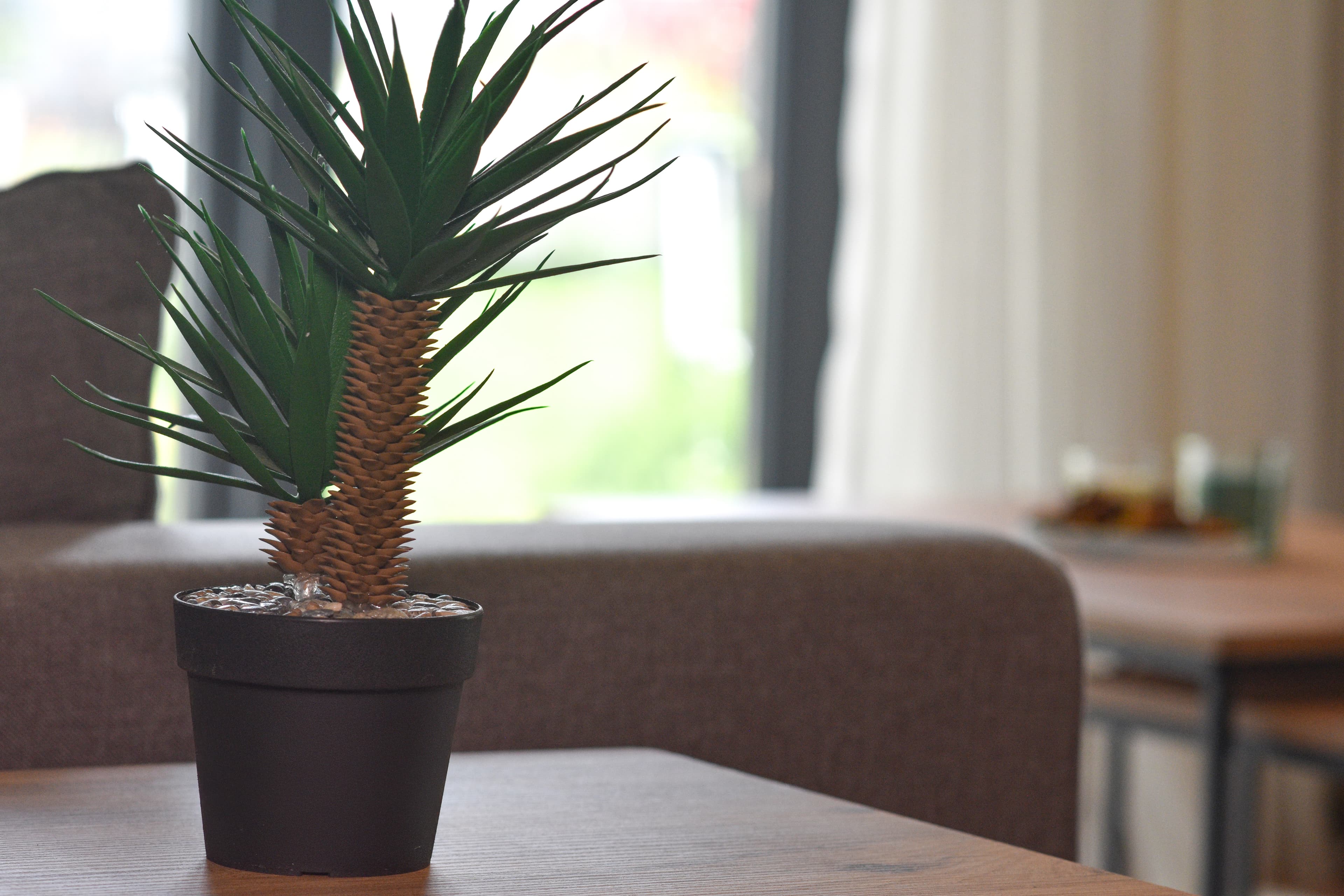 Spacious 2BR with Garden Family friendly , furnished apartment in Bağcılar, Istanbul — image 4
