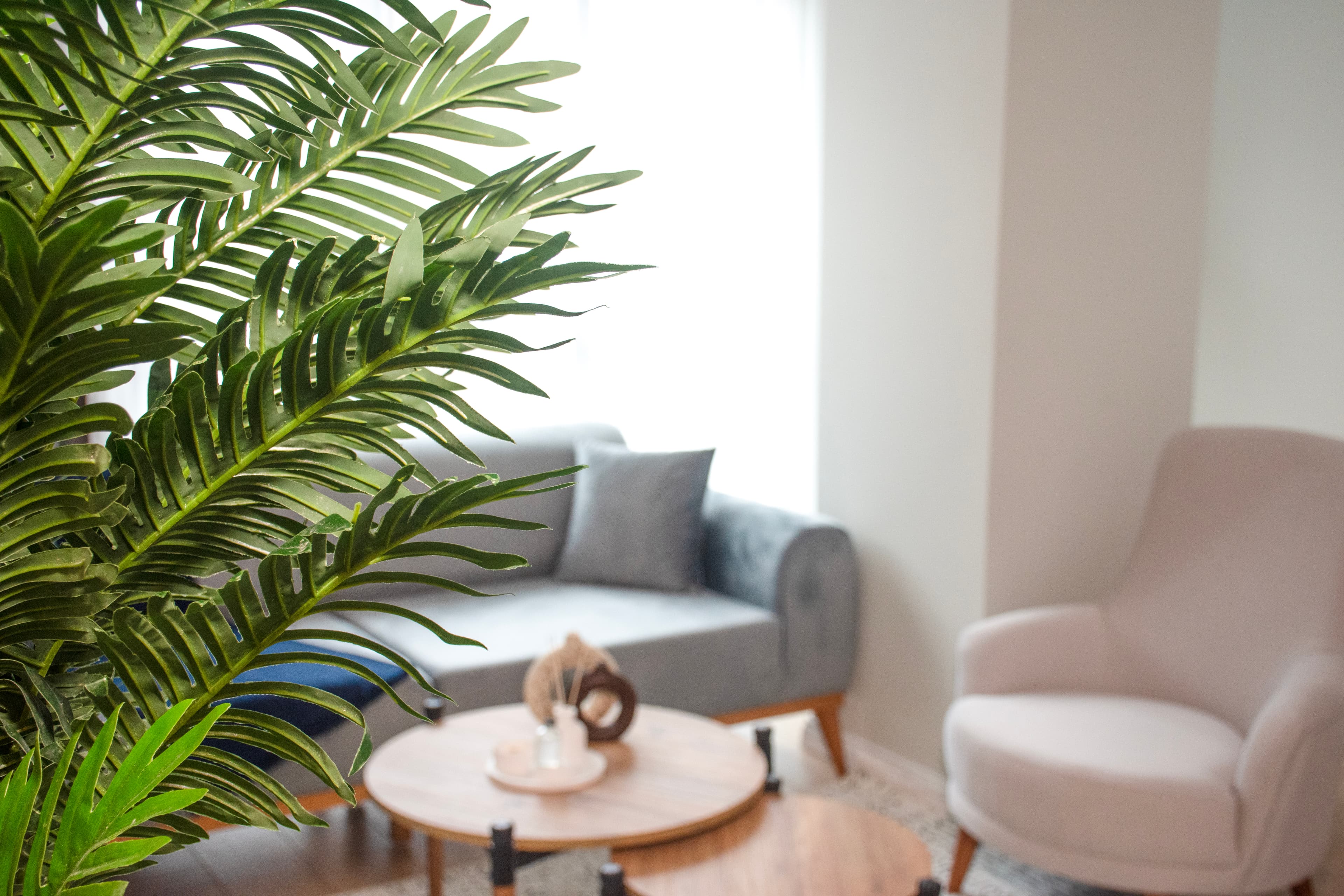 Cozy apt with bedroom & office, furnished apartment in Kağıthane, Istanbul — image 6